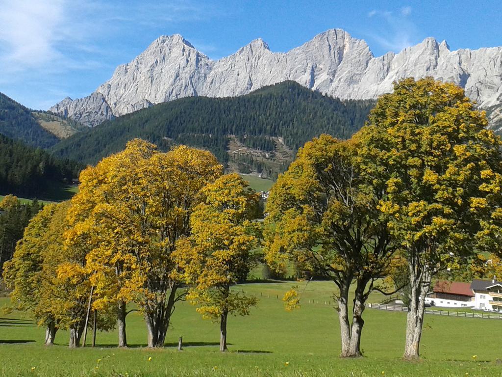 Apartment Oesterreich Ramsau am Dachstein Oda fotoğraf