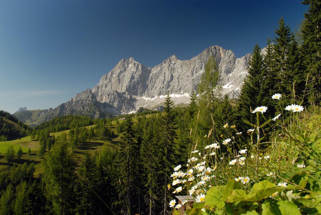 Apartment Oesterreich Ramsau am Dachstein Oda fotoğraf
