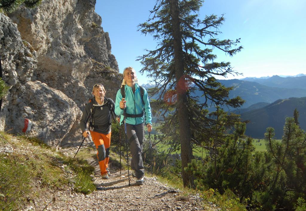 Apartment Oesterreich Ramsau am Dachstein Oda fotoğraf